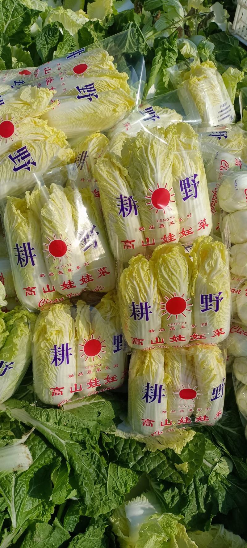 小娃娃菜