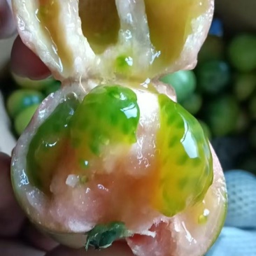 大连正宗草莓柿子