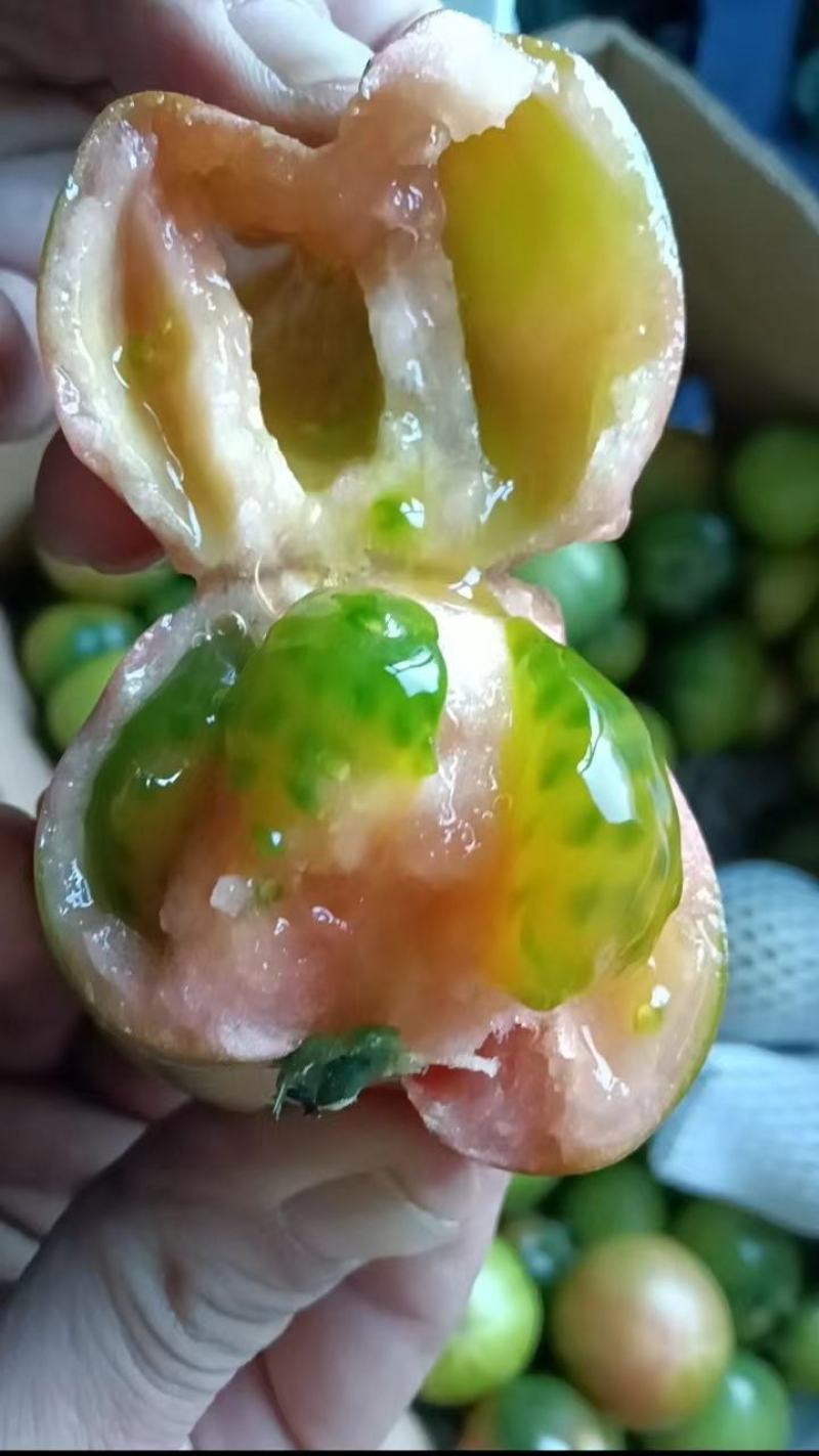 大连正宗草莓柿子