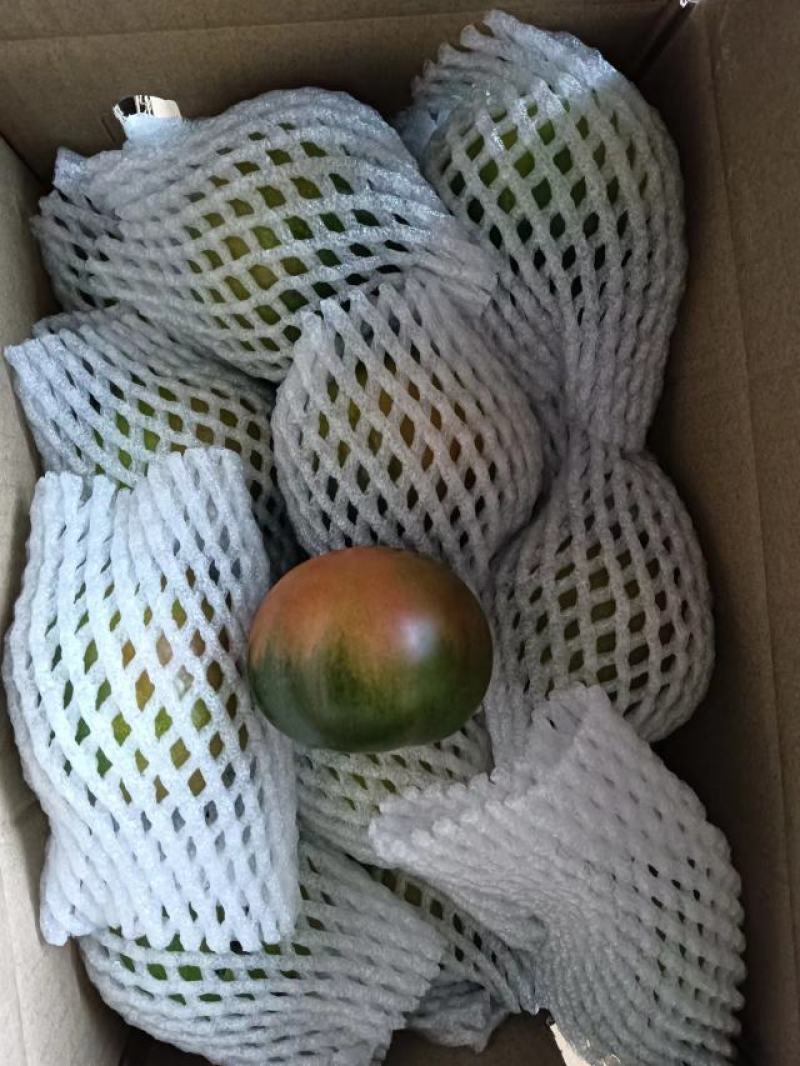 大连正宗草莓柿子