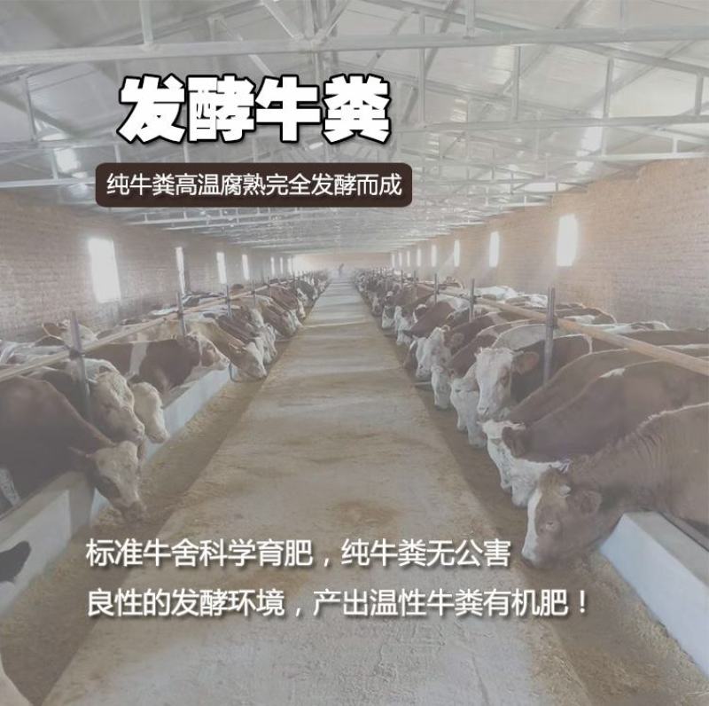 吉林干牛粪厂家白城发酵牛粪批发白山牛粪有机肥