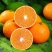 重庆爱媛果冻橙🍊，爆甜多汁，量大从优，对接全国电商平台~