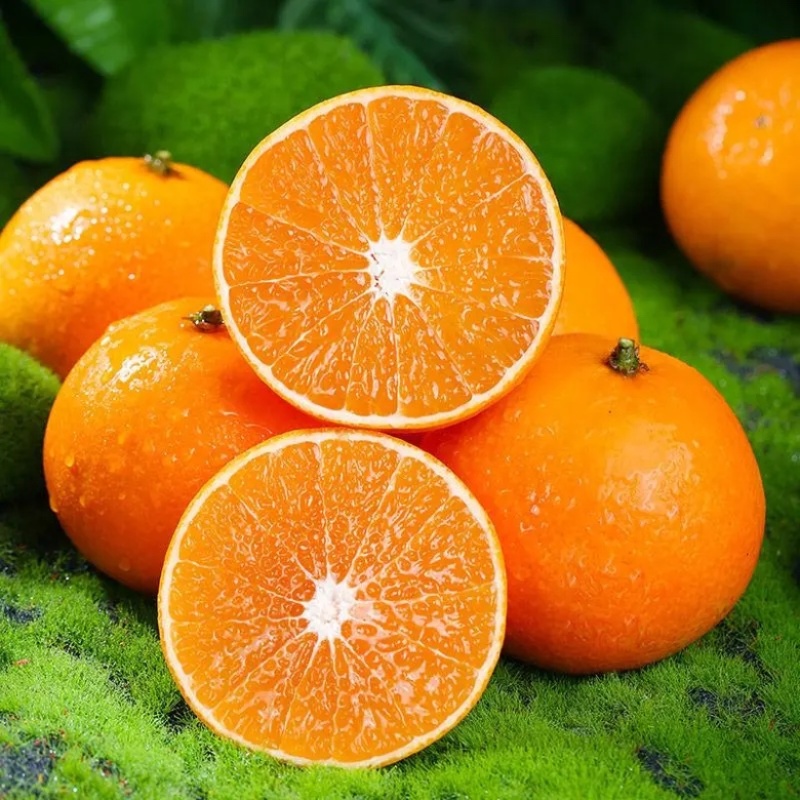 重庆爱媛果冻橙🍊，爆甜多汁，量大从优，对接全国电商平台~