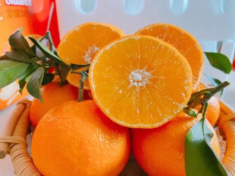 重庆爱媛果冻橙🍊，爆甜多汁，量大从优，对接全国电商平台~