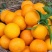 重庆爱媛果冻橙🍊，爆甜多汁，量大从优，对接全国电商平台~