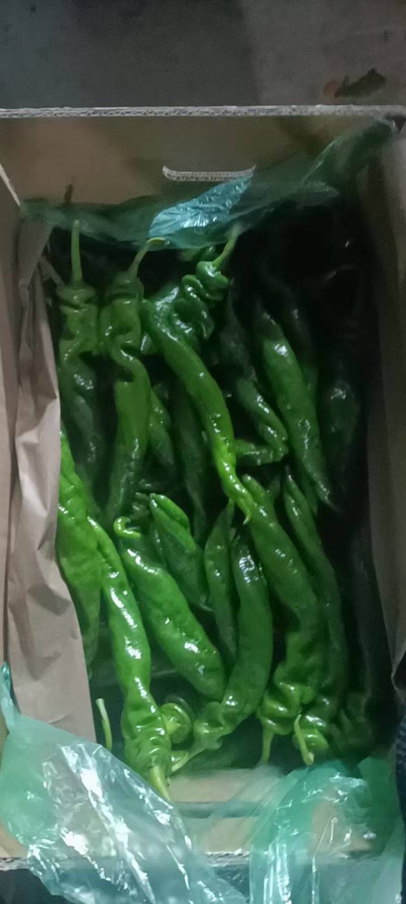 辣椒，豆角等等。