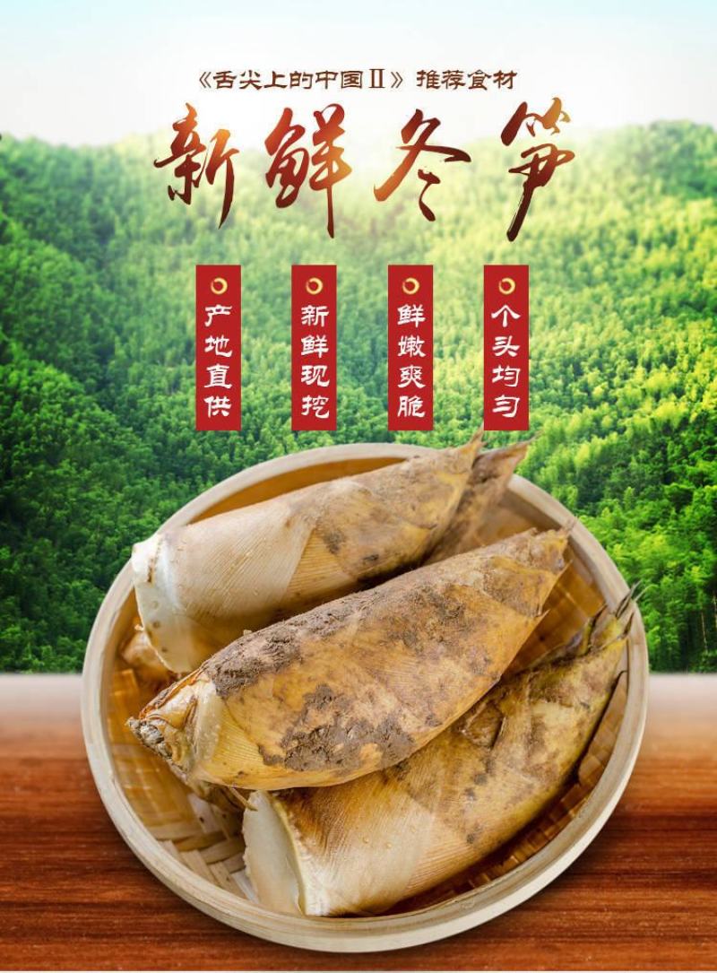 新鲜黄泥冬笋现挖现发包邮产地直发坏包赔一件代发