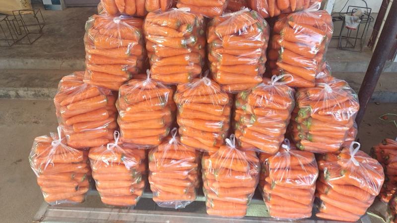 东台胡萝卜大量上市