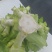 儿菜