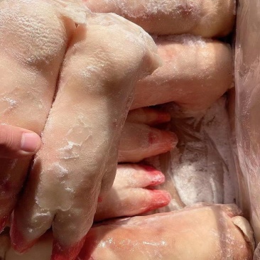 大量批发猪蹄，各种猪副产品，价格便宜