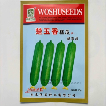 楚玉香丝瓜品种油绿色短棒早熟品种种子