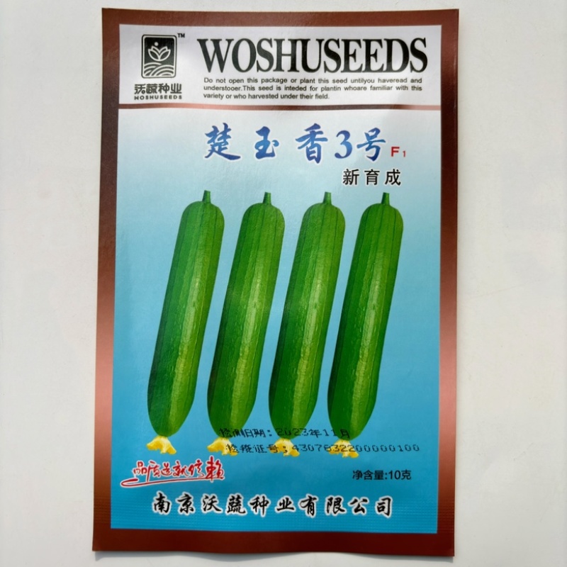 楚玉香丝瓜品种油绿色短棒早熟品种种子