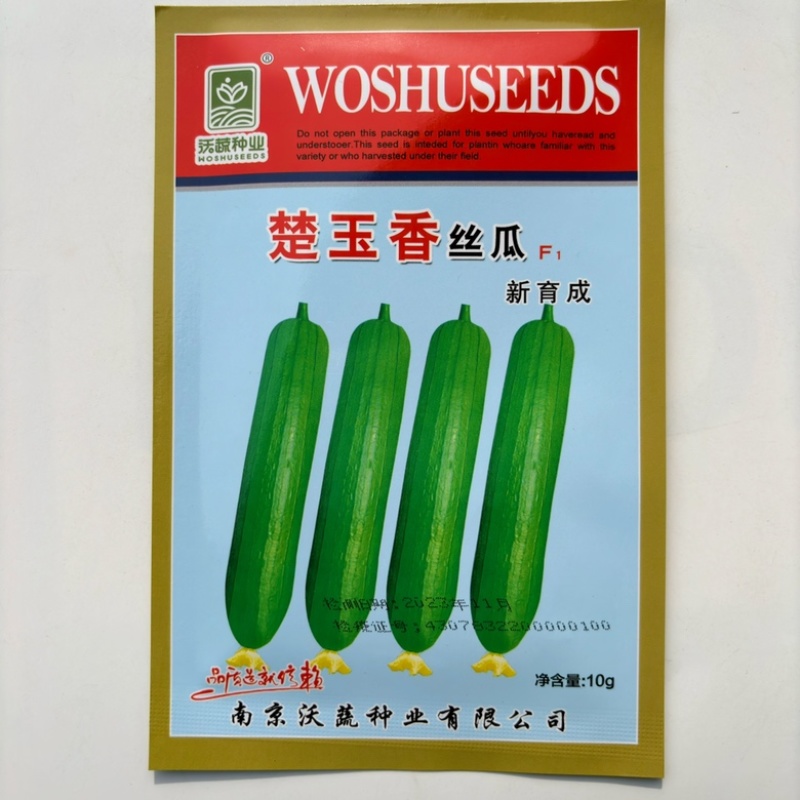 楚玉香丝瓜品种油绿色短棒早熟品种种子