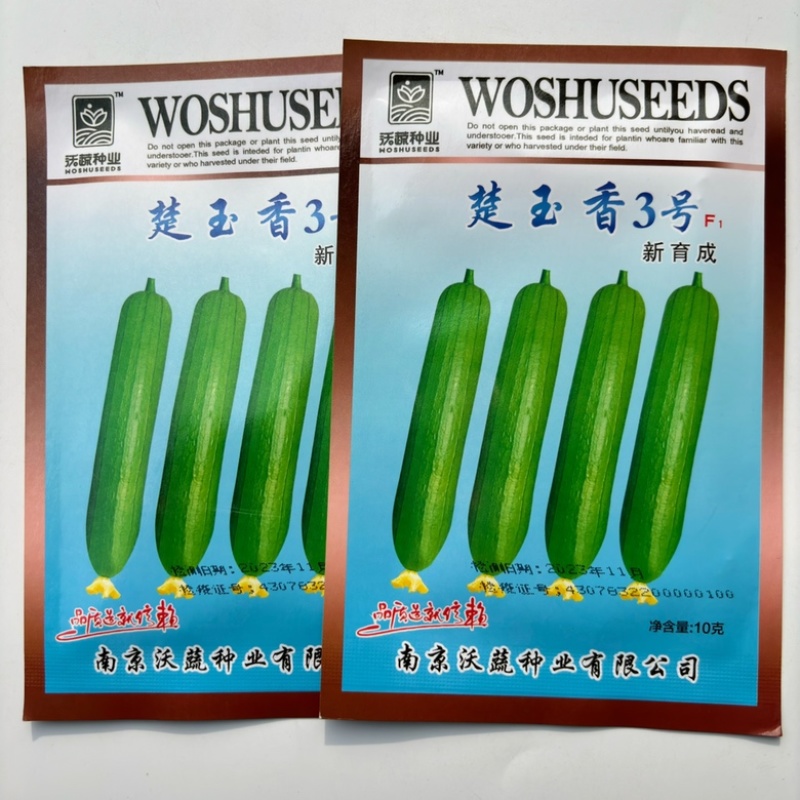 楚玉香丝瓜品种油绿色短棒早熟品种种子