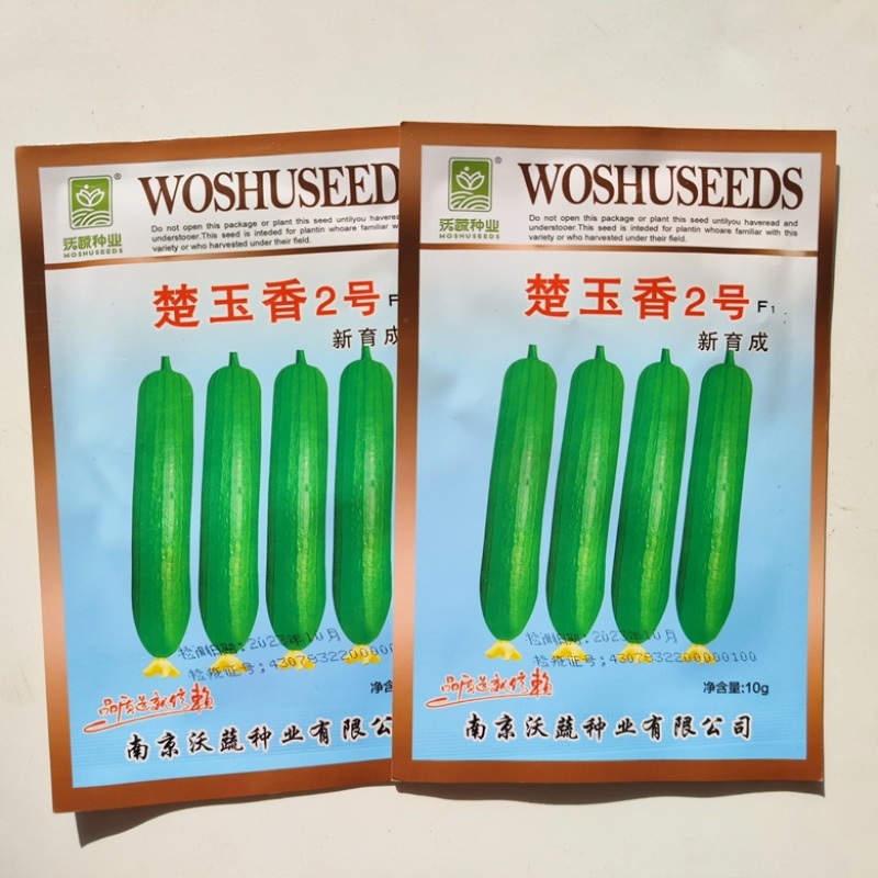 楚玉香丝瓜品种油绿色短棒早熟品种种子