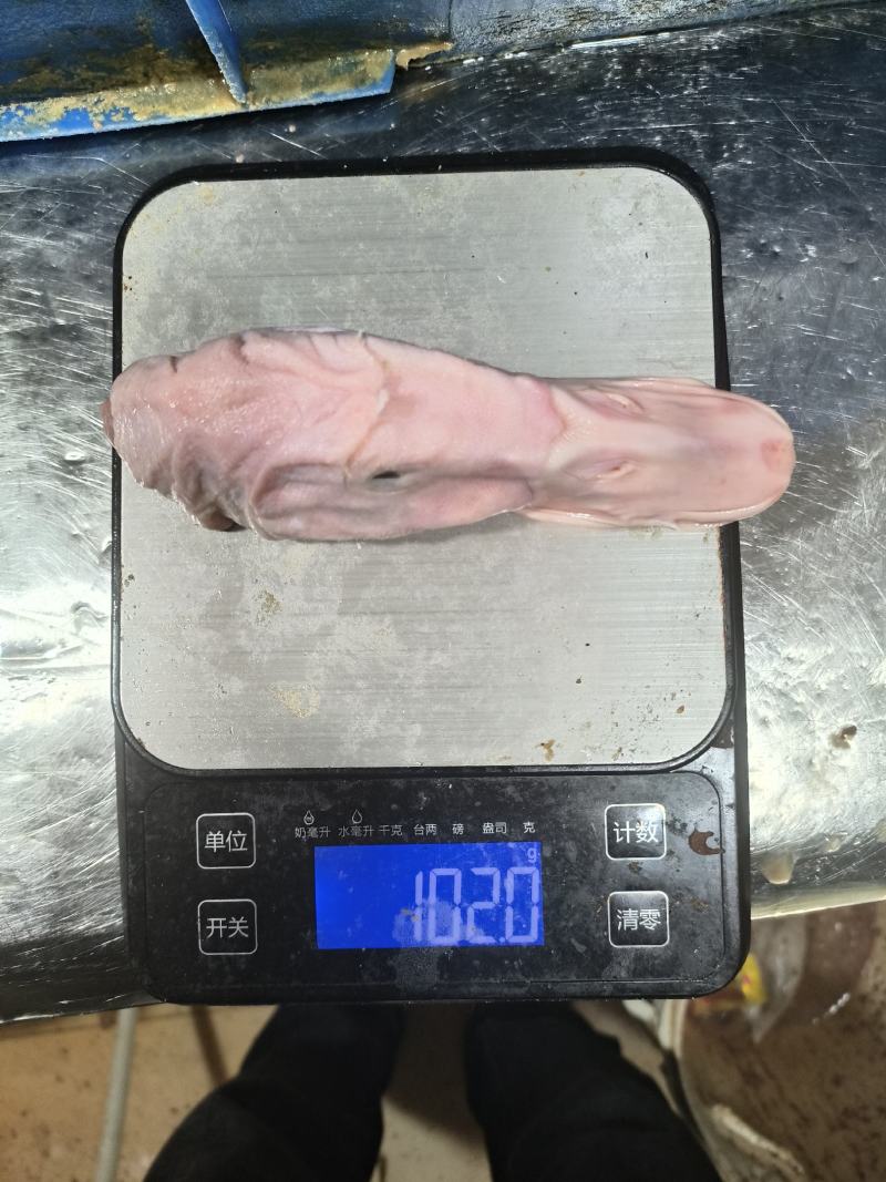 新鲜鸭头一手货源，新鲜发货品质正宗，以质论价诚信经营