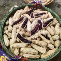 版纳特产黑花生一手货源全国发货量大价优欢迎随时联系