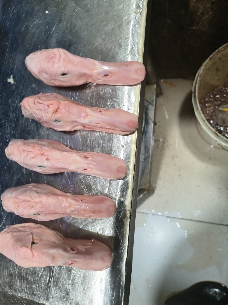 鸭头（2两重）价格便宜量大，质量三包，自有货源全国发货