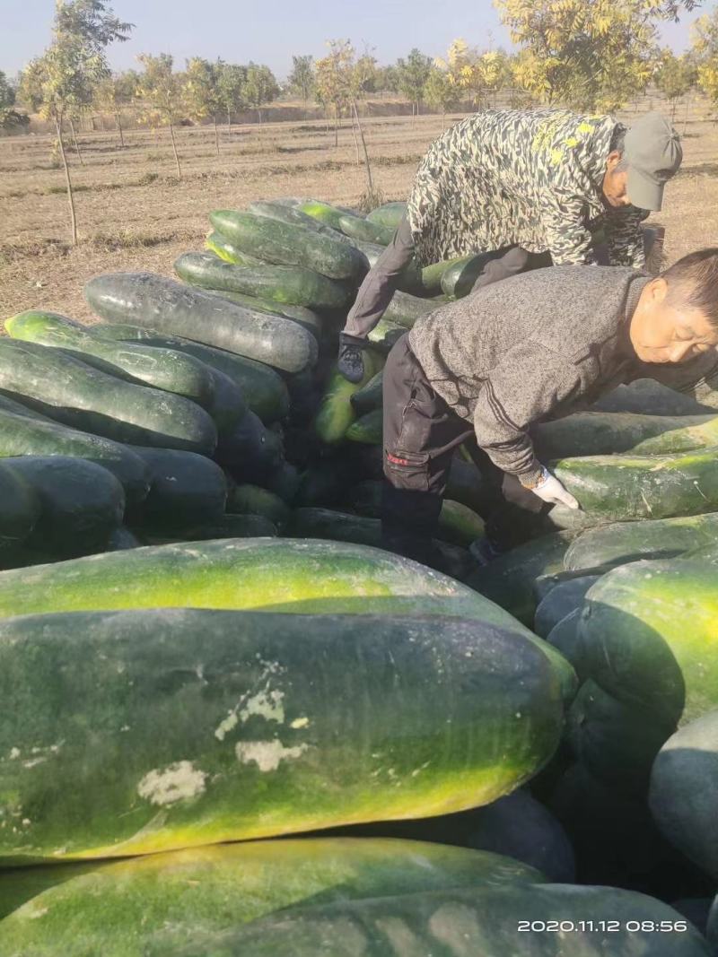 江苏省大丰区优质海南大量供应