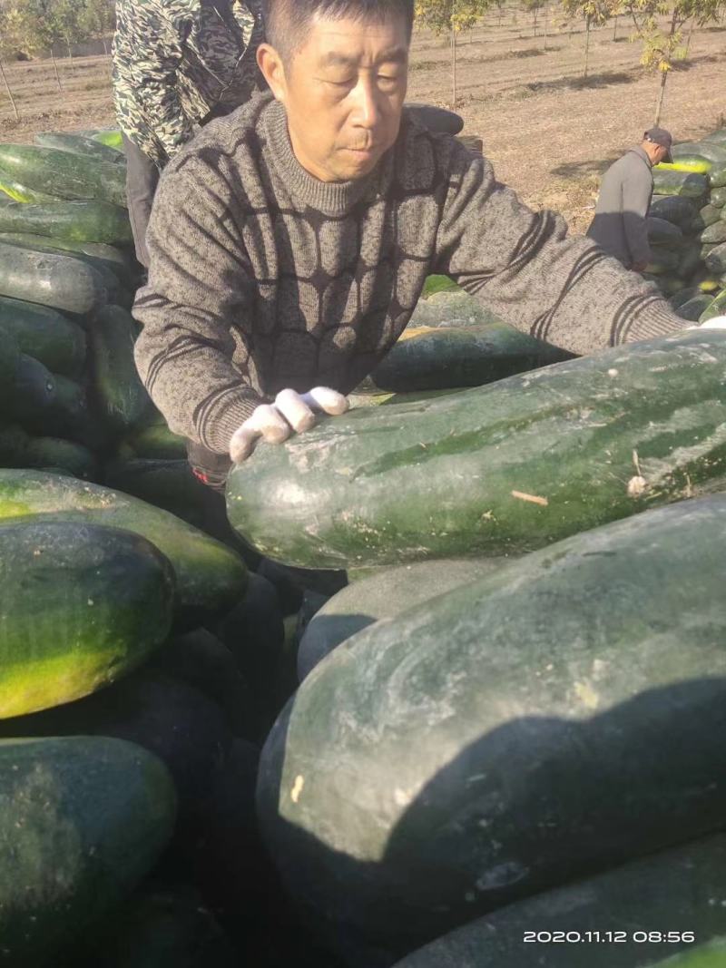 江苏省大丰区优质海南大量供应