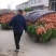 纯沙地三红胡萝卜，颜色好，条型好，价格便宜量大价格可谈