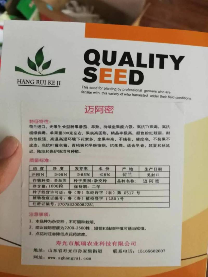 迈阿密F1抗TY耐高温，硬度好，商品性高，果色粉红