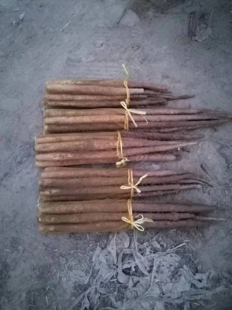 全国供应，电商货，市场货，超市货！大量有货