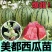 【推荐】美都西瓜苗嫁接苗自根苗抗重茬产量高