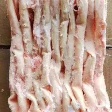 肥猪心管