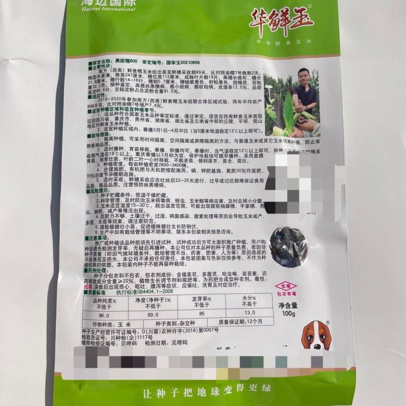 新鲜黑甜糯国审黑糯玉米种子包谷香甜非转基因糯玉米种籽产高