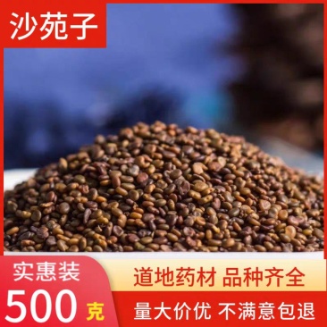 沙苑子干净批发价格量大从优