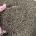 沙苑子干净批发价格量大从优