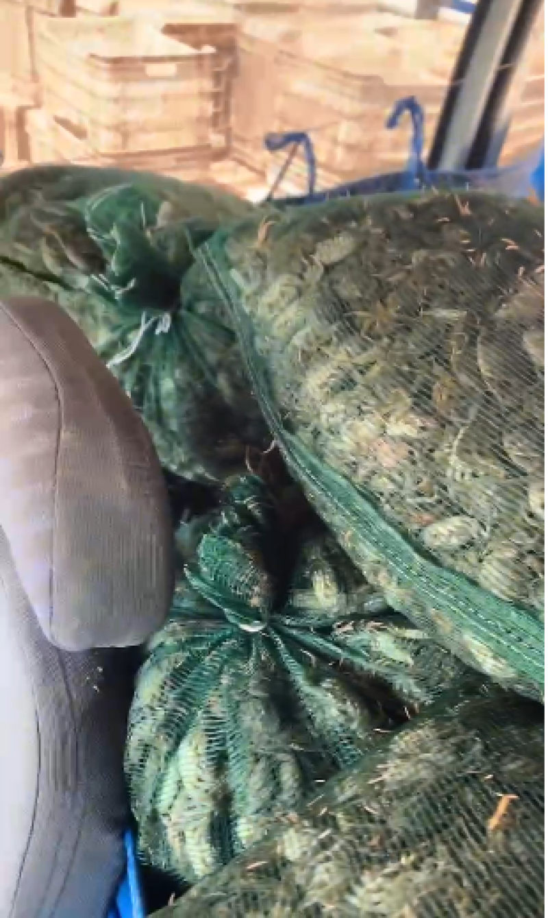精品河蟹油炸小螃蟹货源充足量大从优质量保证欢迎咨询