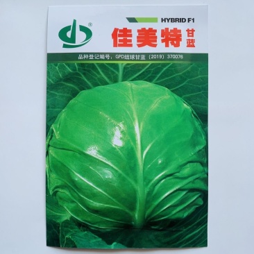 春秋圆球绿甘蓝佳美特结球甘蓝种子卷心菜包头菜种子
