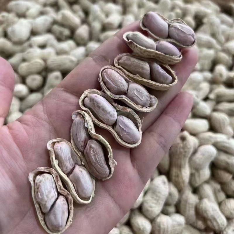 农家水煮花生保留花生原有的清甜和香越吃越想