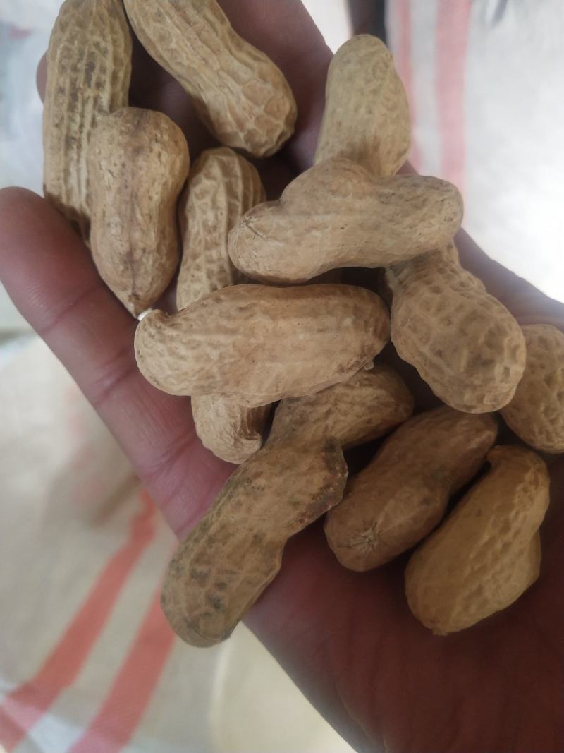 【精品】机油四花生产地直发，一手货源，品质保证，量大价优