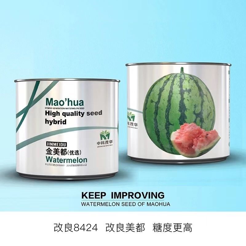 金美都西瓜种子早熟果实圆形果肉桃红色高产抗病西瓜种籽大田