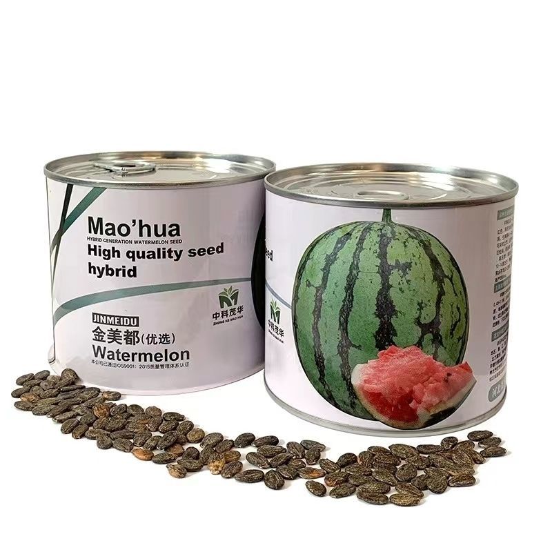 金美都西瓜种子早熟果实圆形果肉桃红色高产抗病西瓜种籽大田