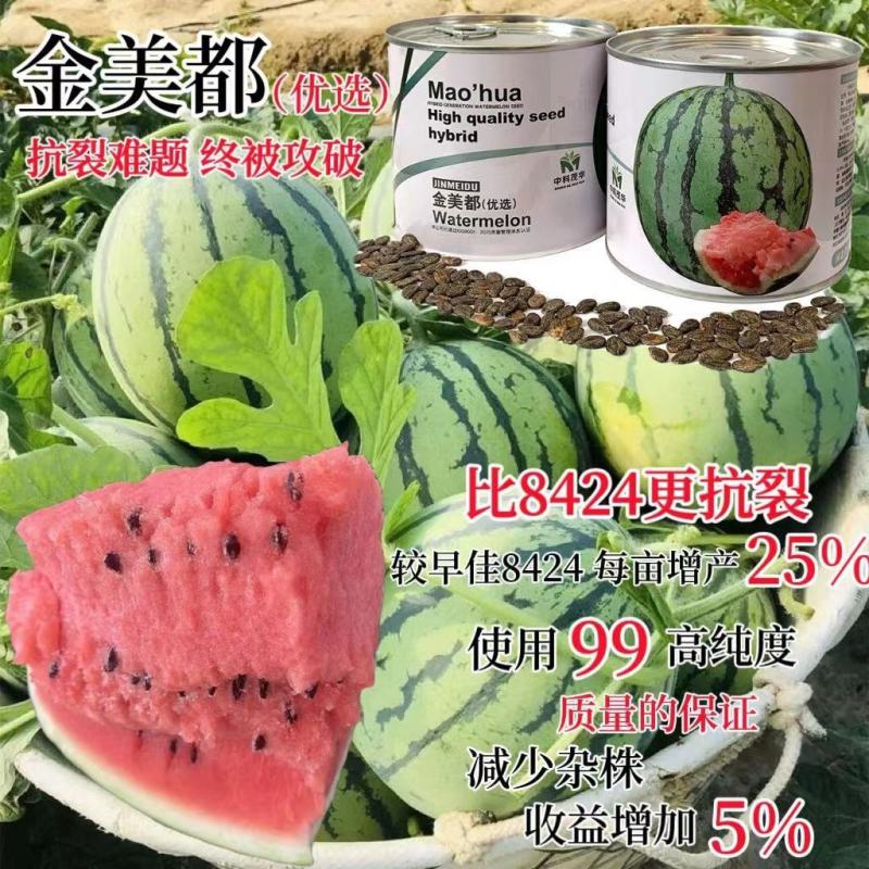 金美都西瓜种子早熟果实圆形果肉桃红色高产抗病西瓜种籽大田
