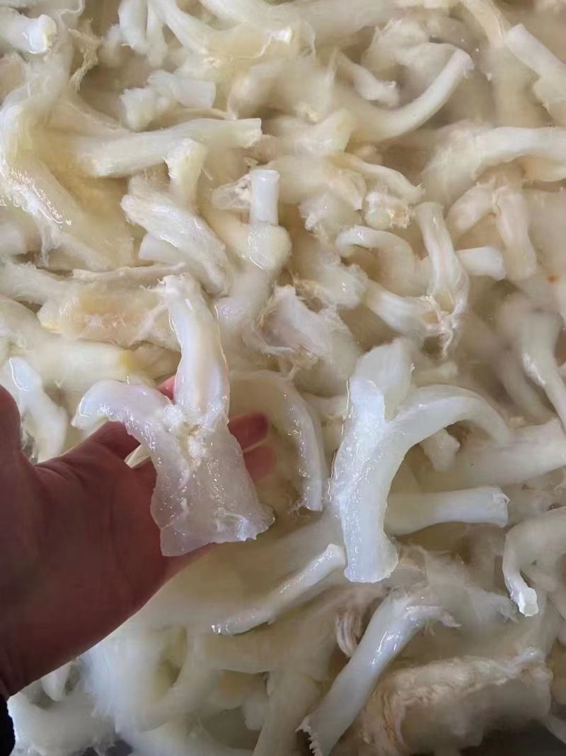 熟牛筋碎牛筋牛蹄筋水发牛筋牛主筋牛副筋现货供应