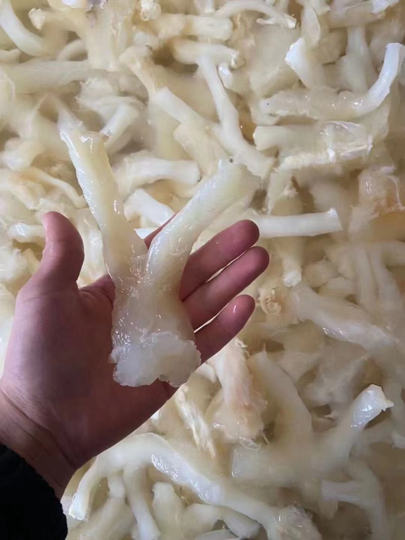熟牛筋碎牛筋牛蹄筋水发牛筋牛主筋牛副筋现货供应