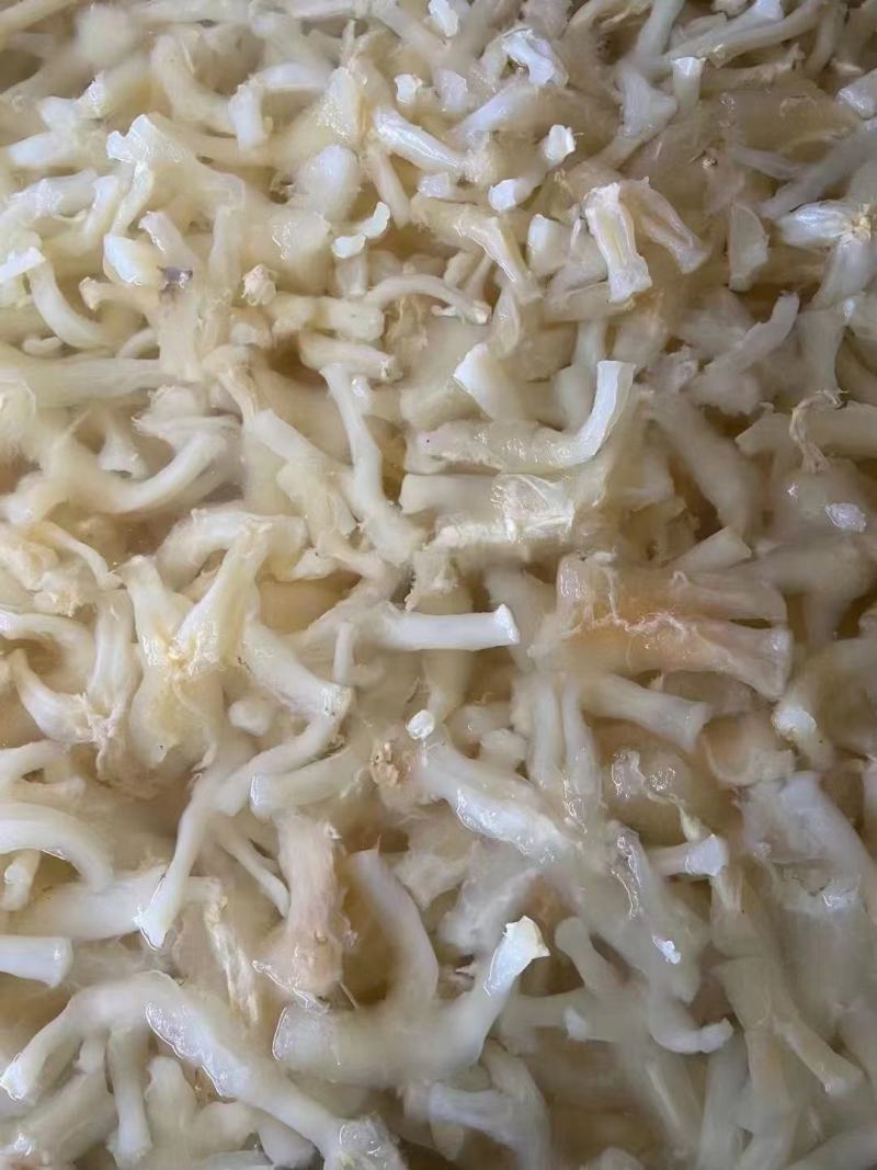 熟牛筋碎牛筋牛蹄筋水发牛筋牛主筋牛副筋现货供应