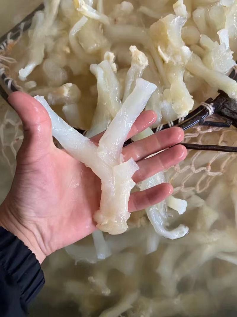 熟牛筋碎牛筋牛蹄筋水发牛筋牛主筋牛副筋现货供应