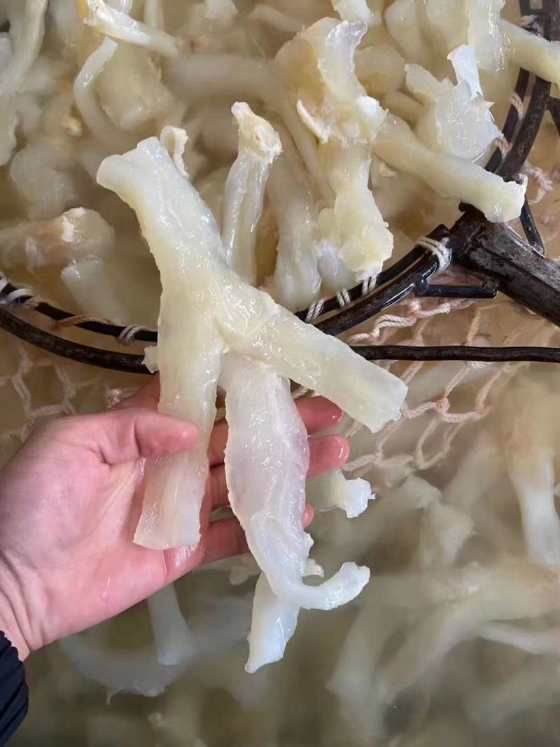 熟牛筋碎牛筋牛蹄筋水发牛筋牛主筋牛副筋现货供应