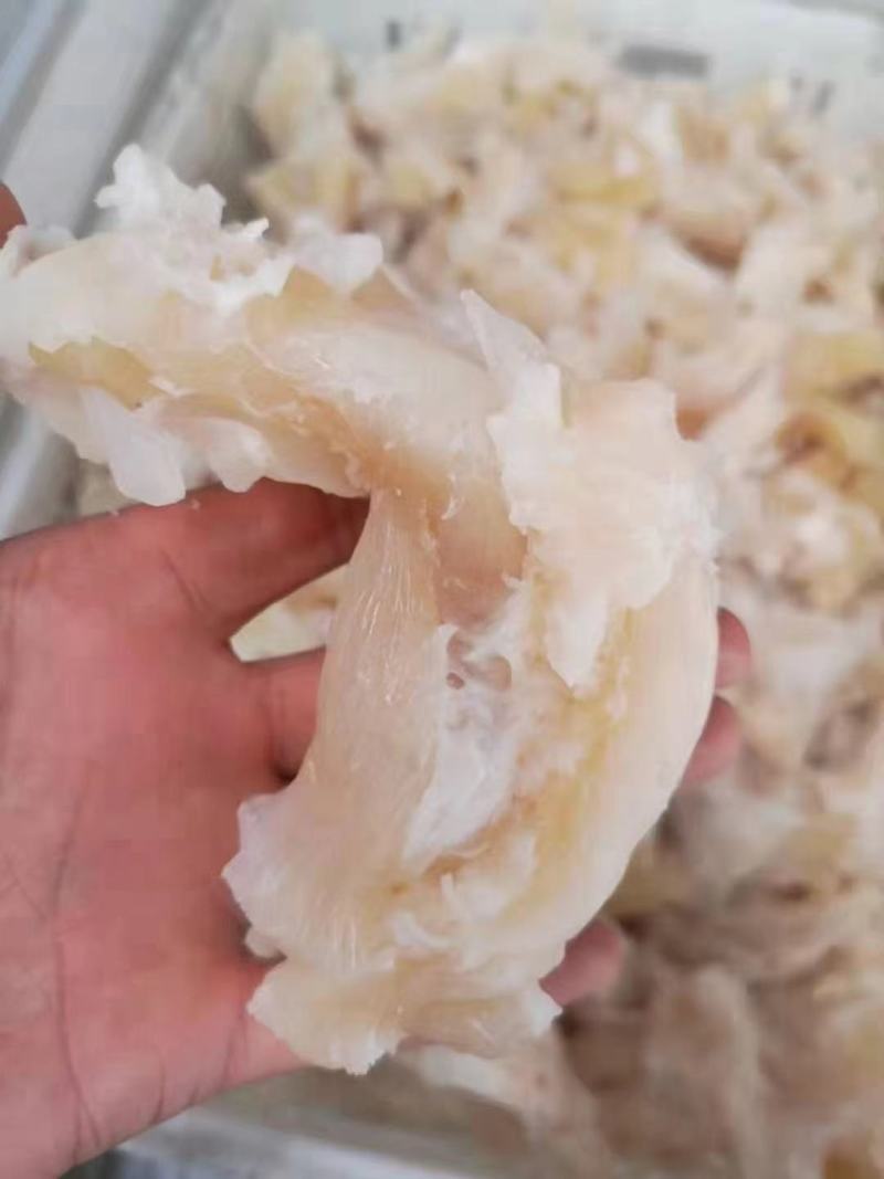 熟牛筋碎牛筋牛蹄筋水发牛筋牛主筋牛副筋现货供应