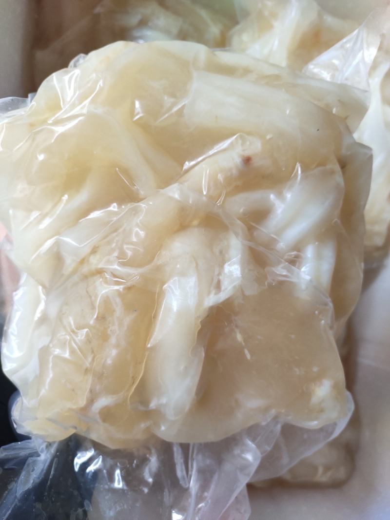 熟牛筋碎牛筋牛蹄筋水发牛筋牛主筋牛副筋现货供应