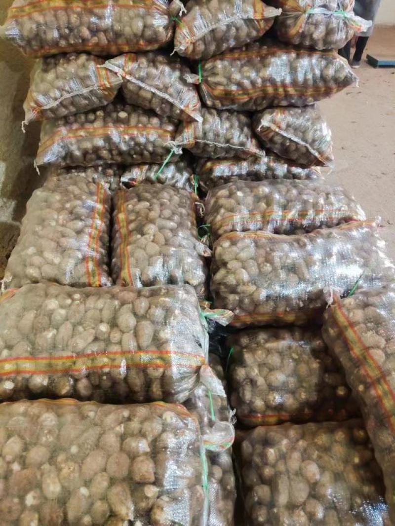 芋头8520山东毛芋头产地直发全国发货，优质有保证