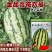 原装正品无籽大红瓤硒砂瓜高产抗病强适广性强薄皮西瓜种子