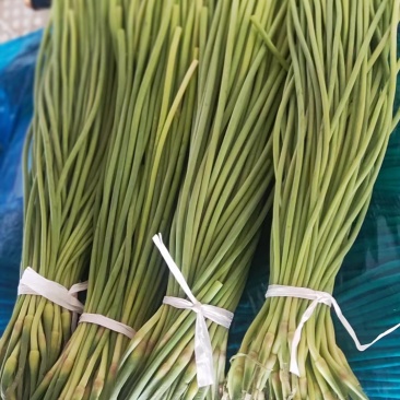 精品蒜苔，河北邯郸大量供货，可供大型超市，市场，加工厂