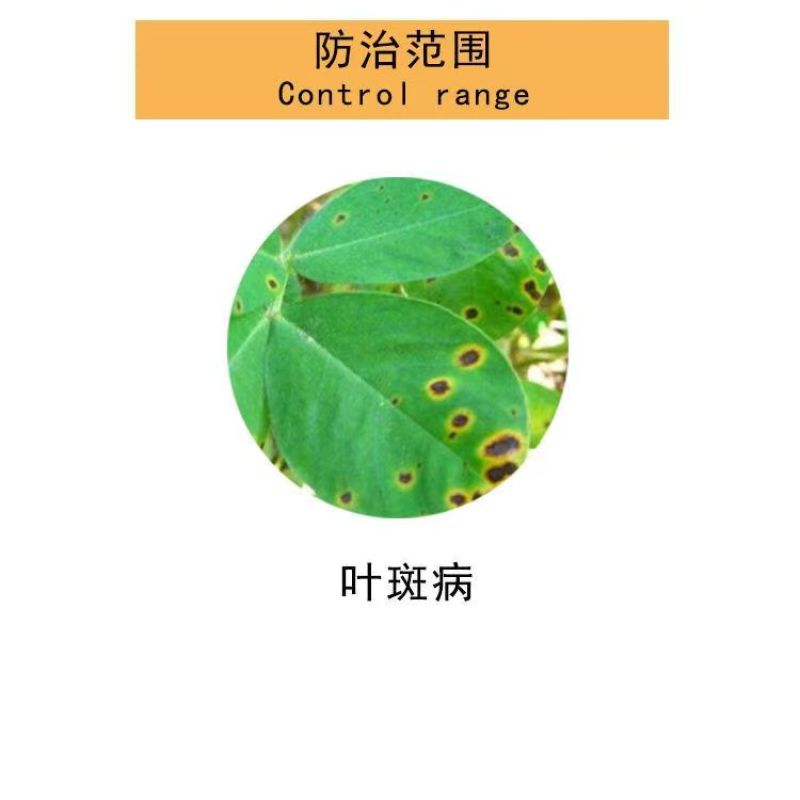 蓝丰金多50%硫磺多菌灵花生叶斑病农药杀菌剂